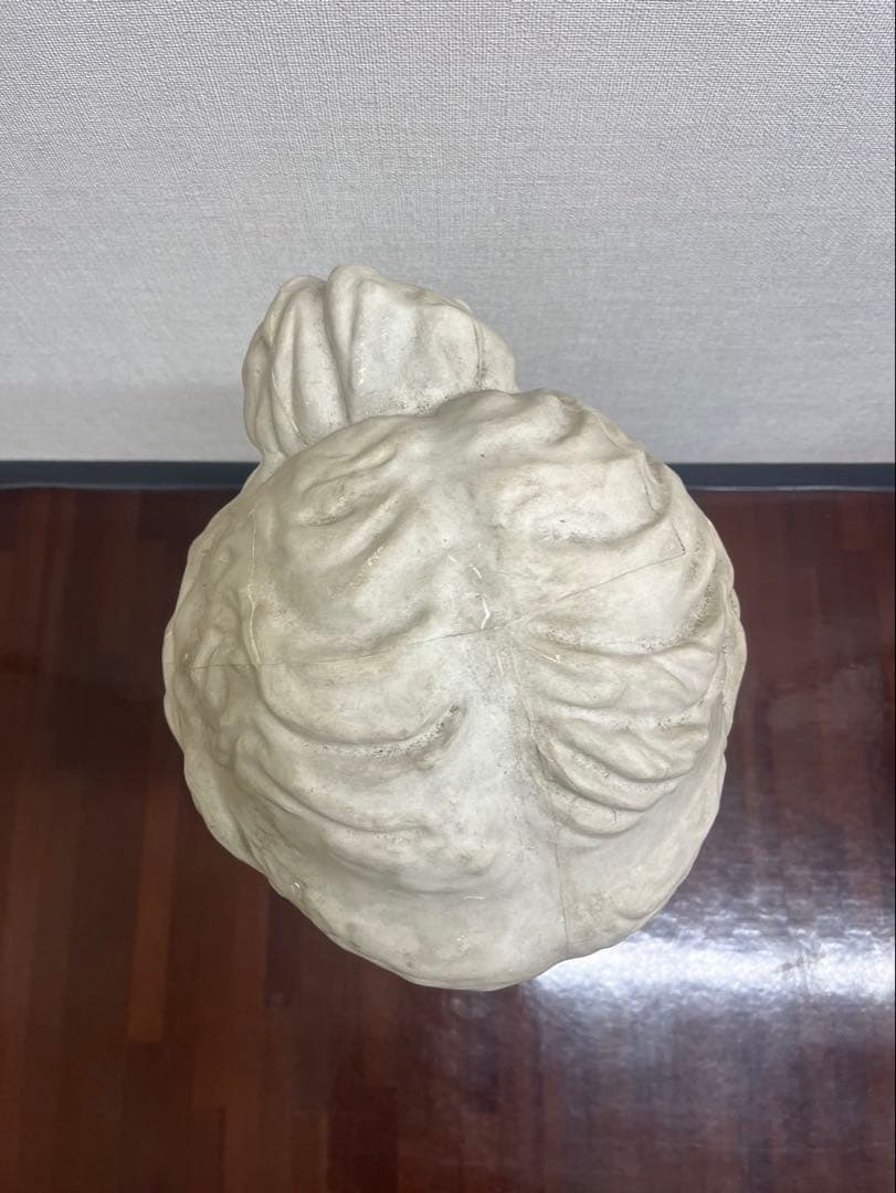 ヴィーナス 石膏像 胸像 顔 美術