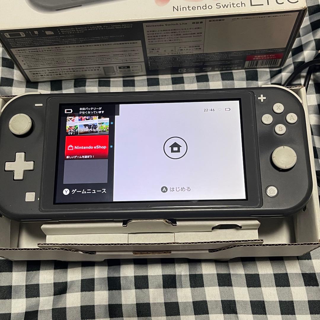 Switch Lite グレー 本体　右スティック一部不良(ジャンク)