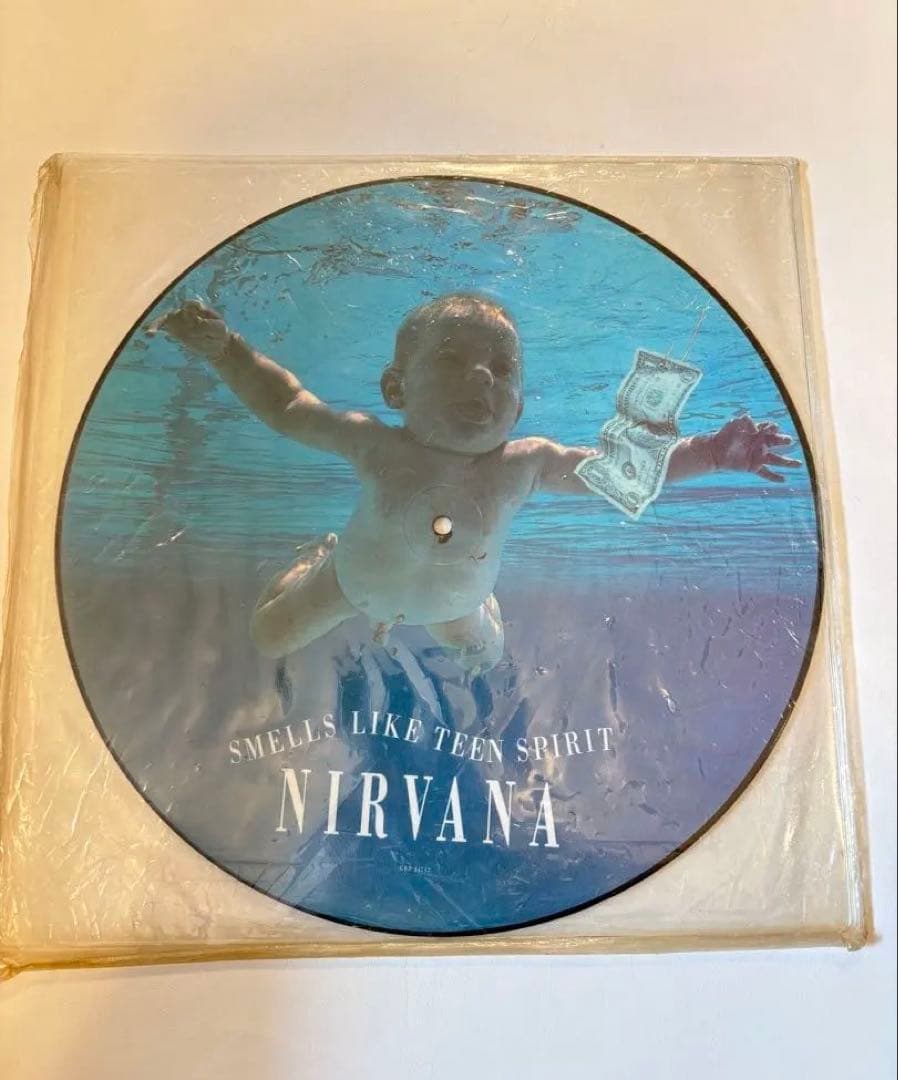 NIRVANA SMELLS LIKE TEEN SPIRIT ピクチャー