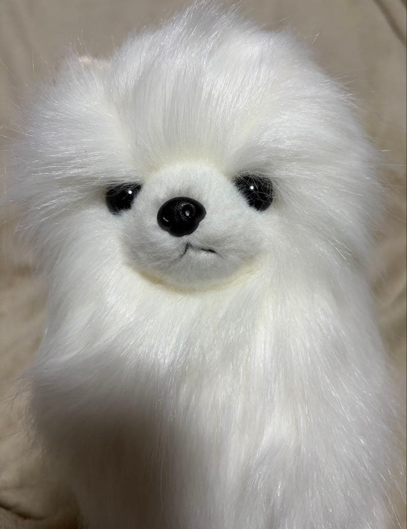 犬　三英　スピッツ　ポメラニアン　ぬいぐるみ　ホワイト