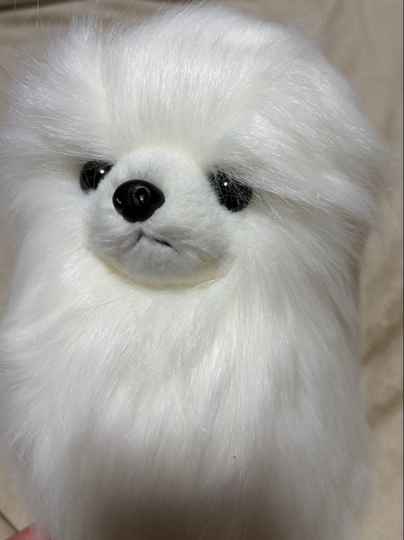 犬　三英　スピッツ　ポメラニアン　ぬいぐるみ　ホワイト