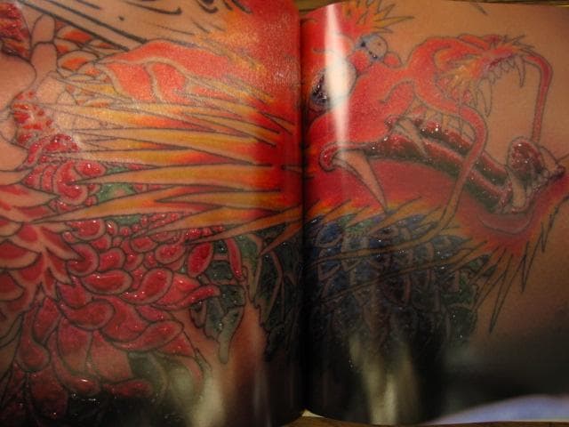 わんざくれ The road to shisei 三代目彫よし 刺青写真集