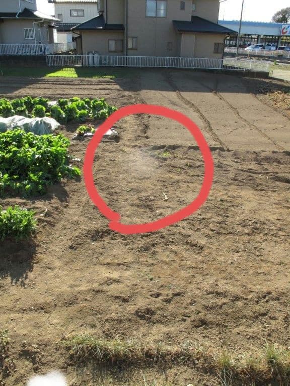 キヤノン パワーショット G-10 セット