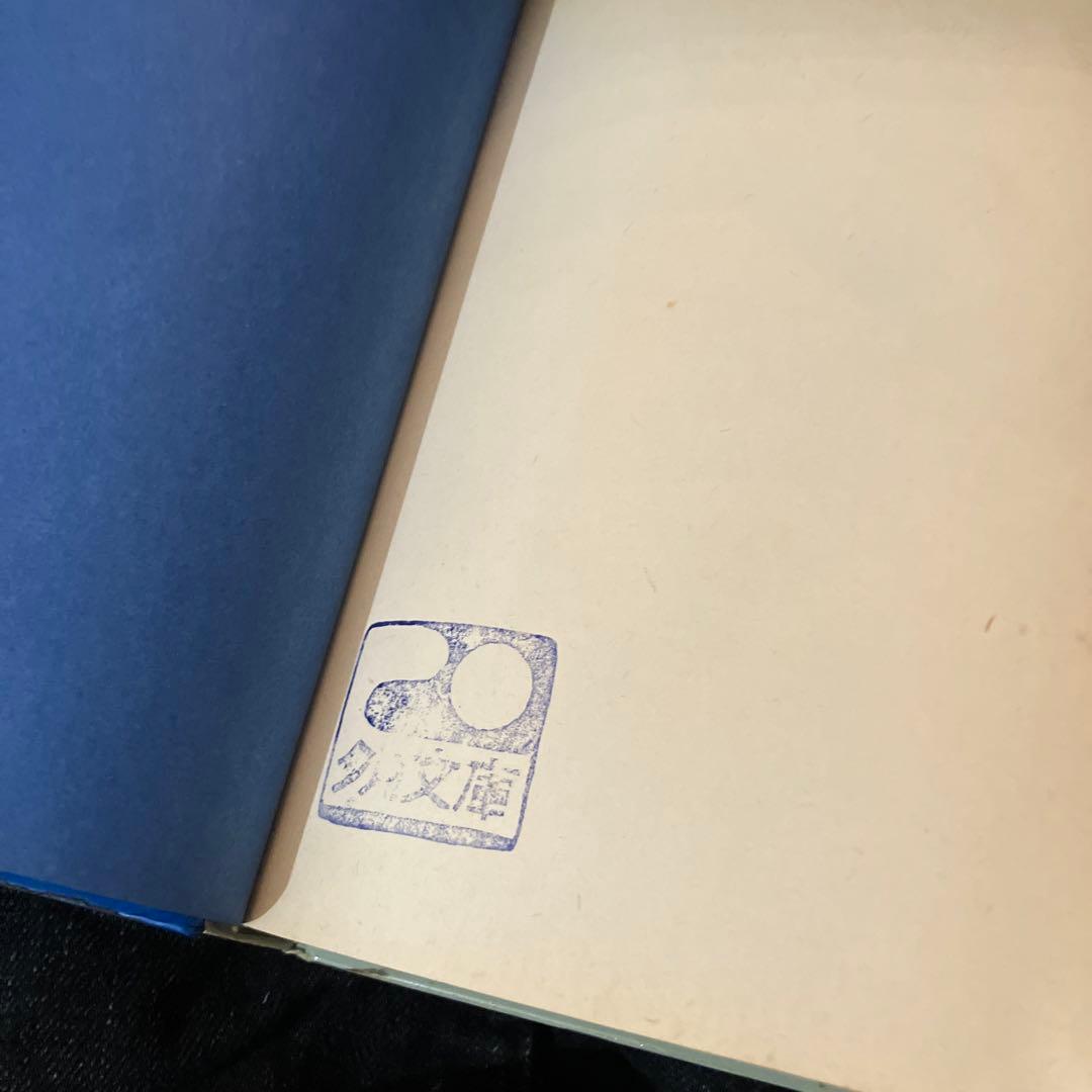 盗まれた東京 矢野