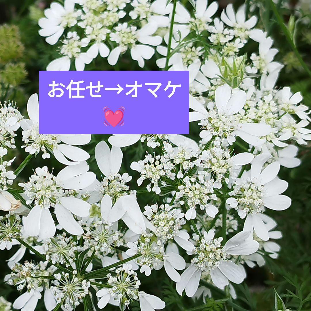 【新品❤お薦め】✨️化粧品 おまとめセット✨️