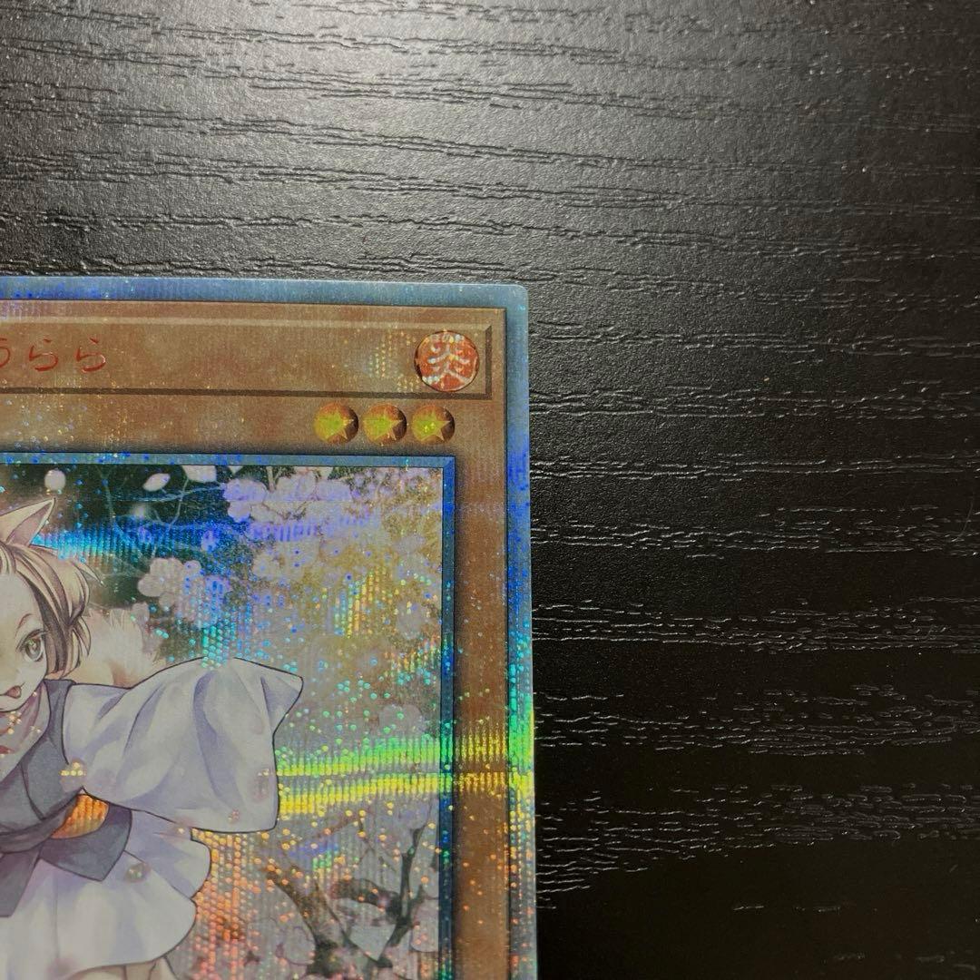 遊戯王　灰流うらら　 20thシークレットレア1枚