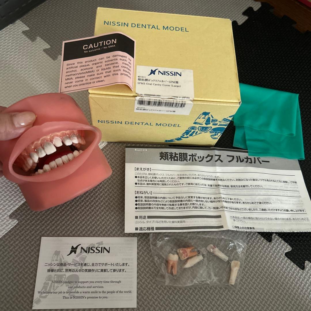 NISSIN歯の模型と、頬粘膜ボックスフルカバー SPMIII
