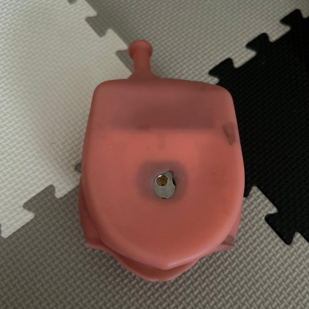 NISSIN歯の模型と、頬粘膜ボックスフルカバー SPMIII