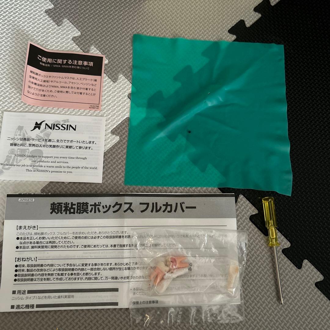 NISSIN歯の模型と、頬粘膜ボックスフルカバー SPMIII