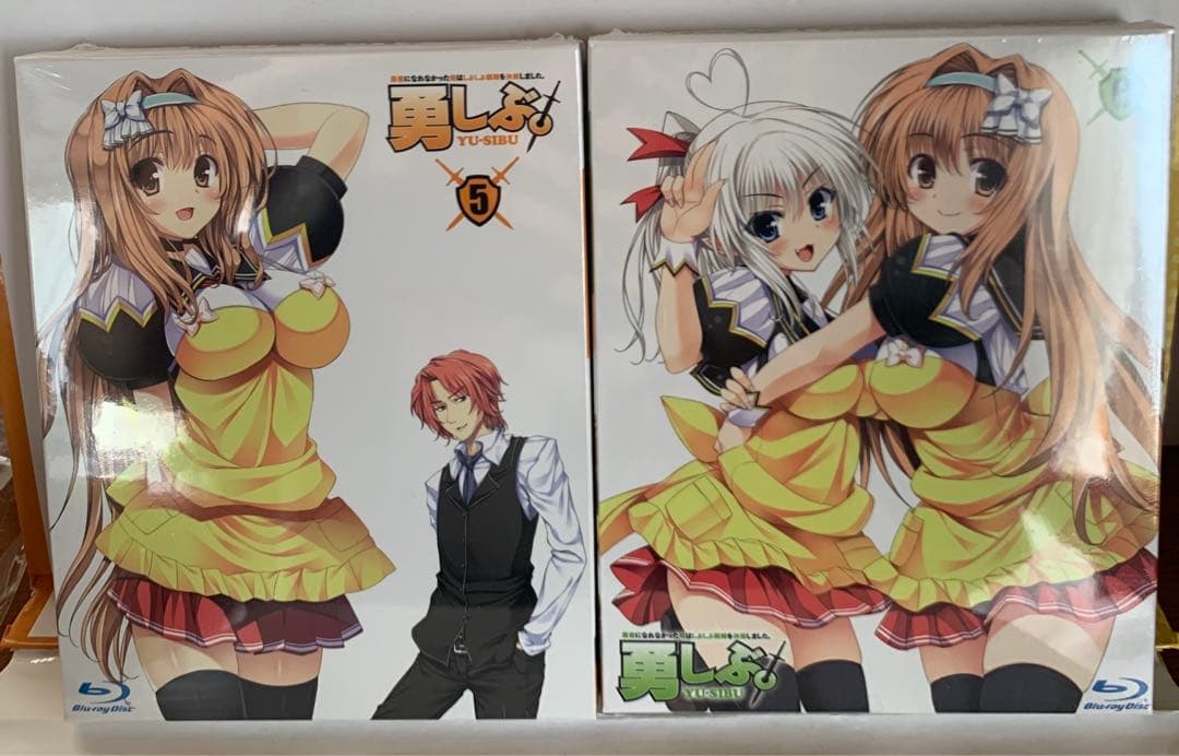 勇者になれなかった俺はしぶしぶ就職を決意しました。 〈限定版〉6巻セット