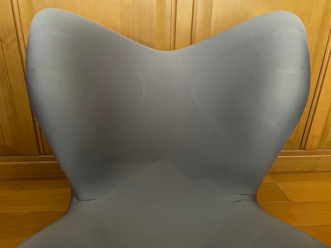 ★超美品★MTG Style PREMIUM スタイルプレミアム 姿勢矯正