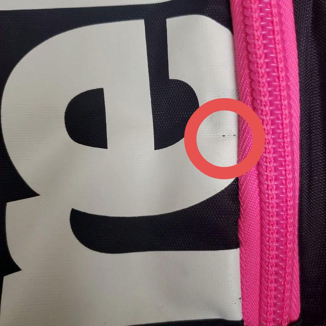 アリーナFastpack 2.1 　アウトドア : プールバッグ