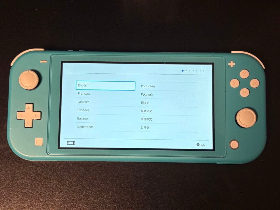 Switch Lite ターコイズ ケース付き