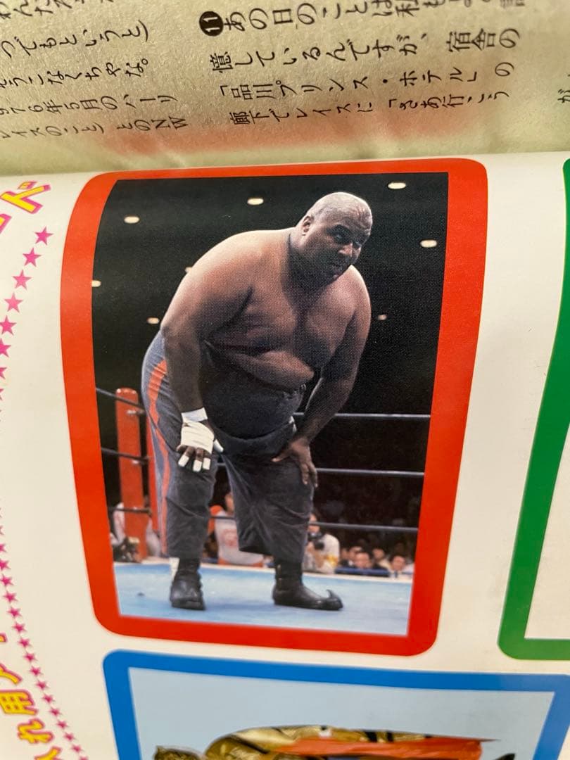 月刊プロレス 1982年 1983年 8冊　ハルクホーガン レスラー　カード