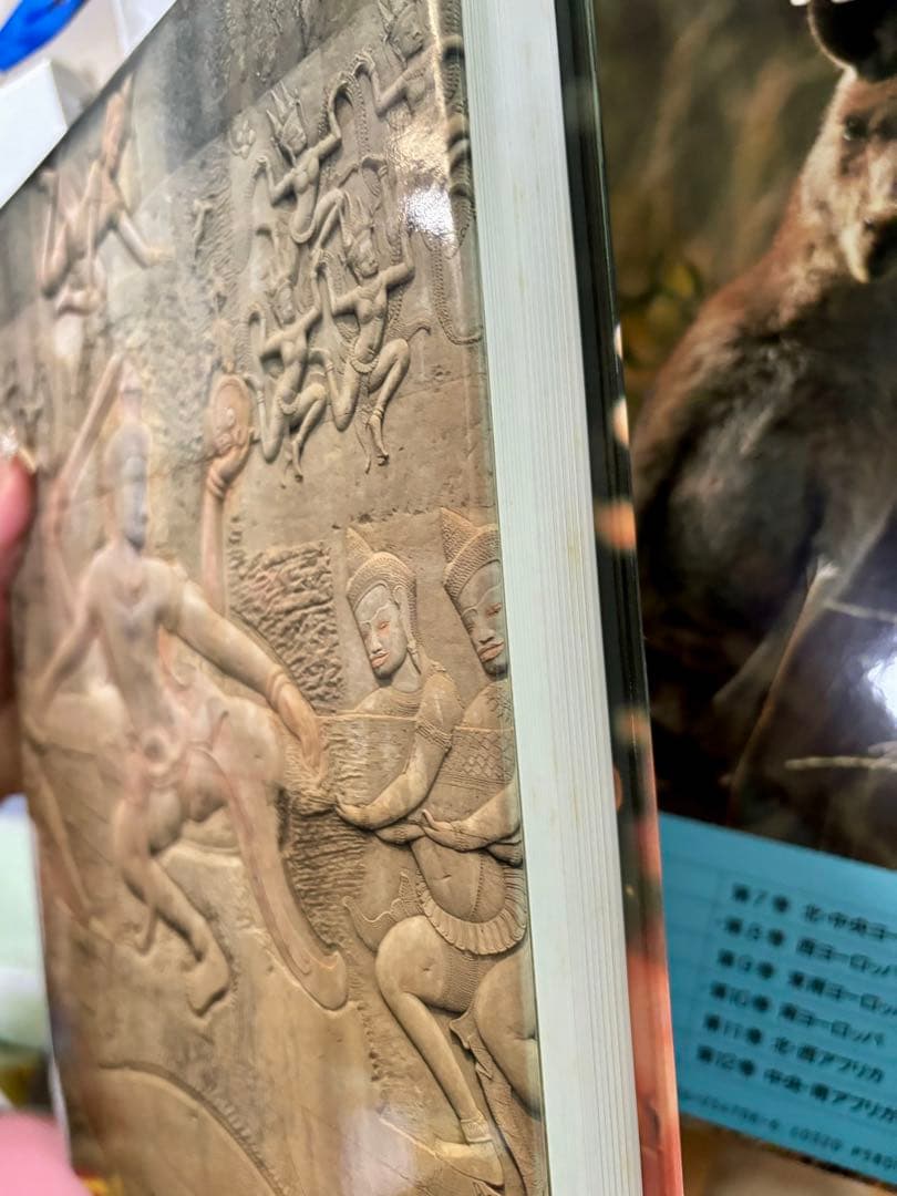 ユネスコ「世界遺産」 全12巻