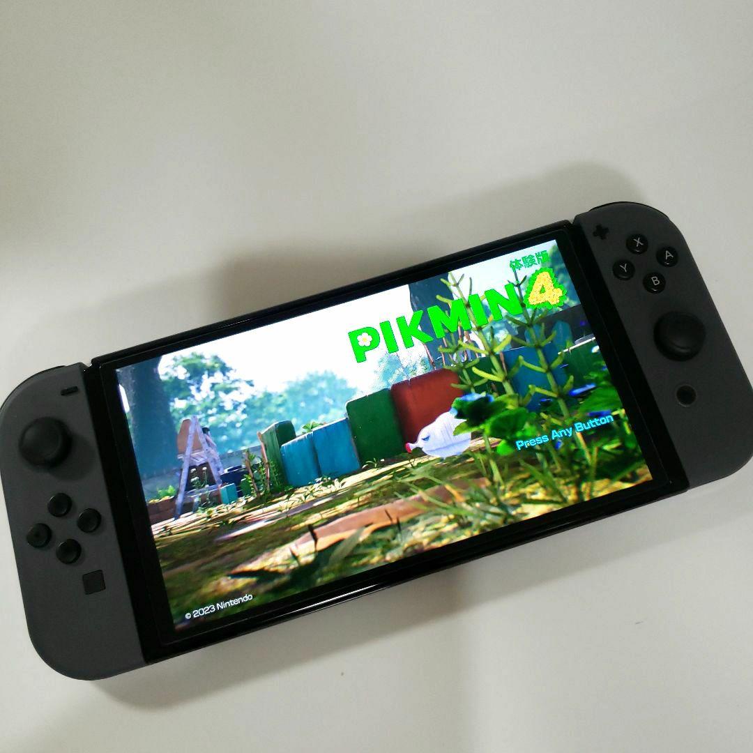 R*R様 【昨年12月末購入】Switch Nintendo Switch 有機