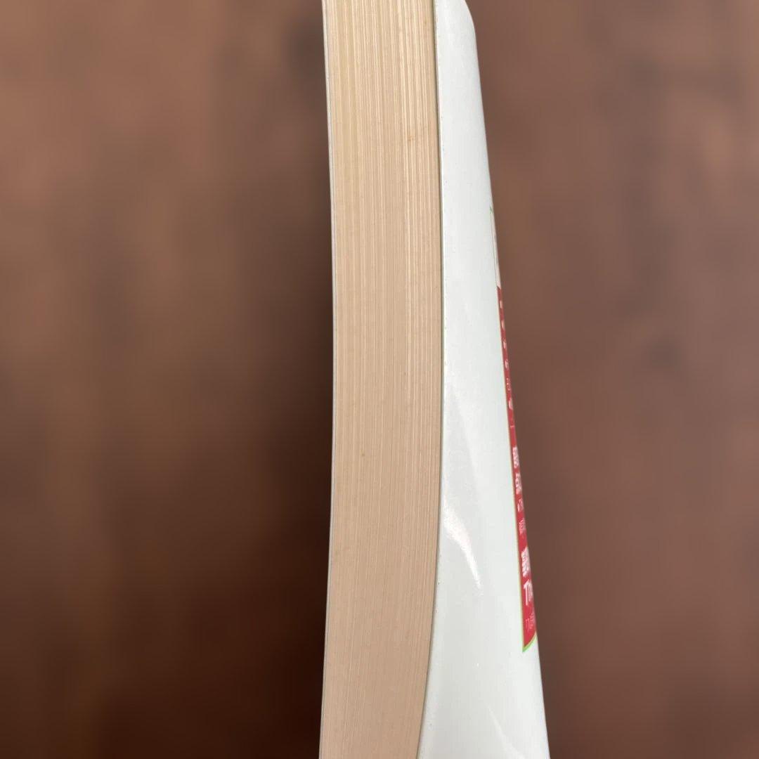 The NEXT 入試英語実戦問題集　宮崎尊