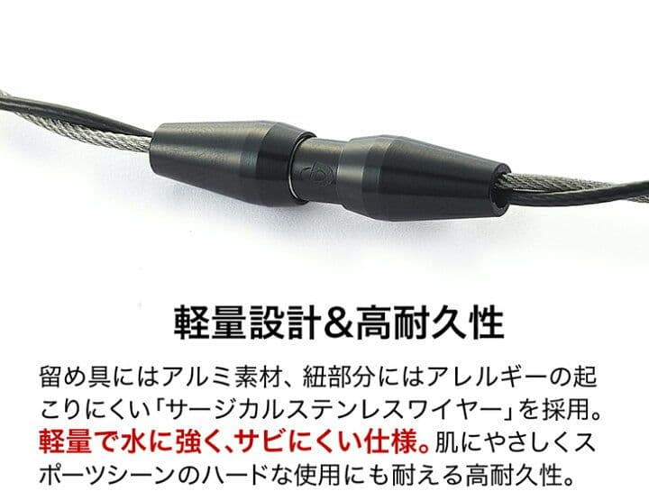 phiten RAKUWAネックトルネード ブラック×カシミヤシルバー４３cm