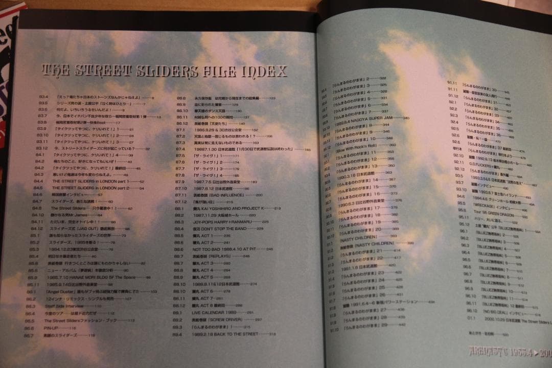 【希少美品】THE STREET SLIDERS FILE 「タイケリ」付属