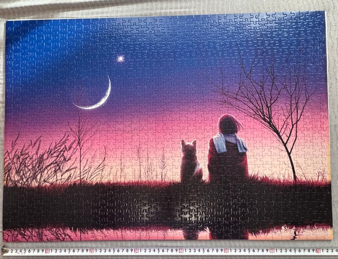 ジグソーパズル KAGAYA ルナ・ガーデン 1000ピース　光るパズル