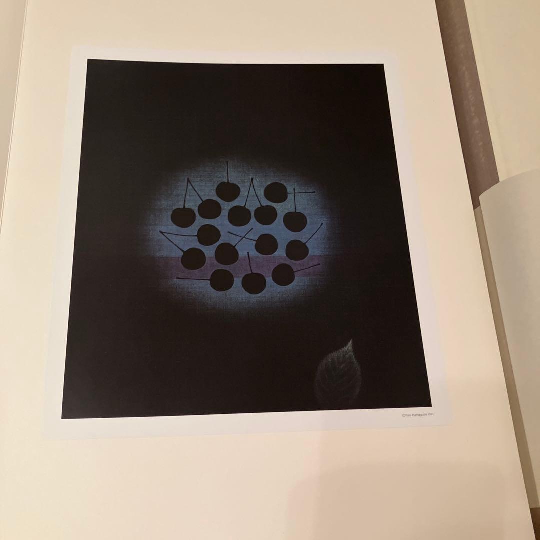 浜口陽三 銅版画 画集