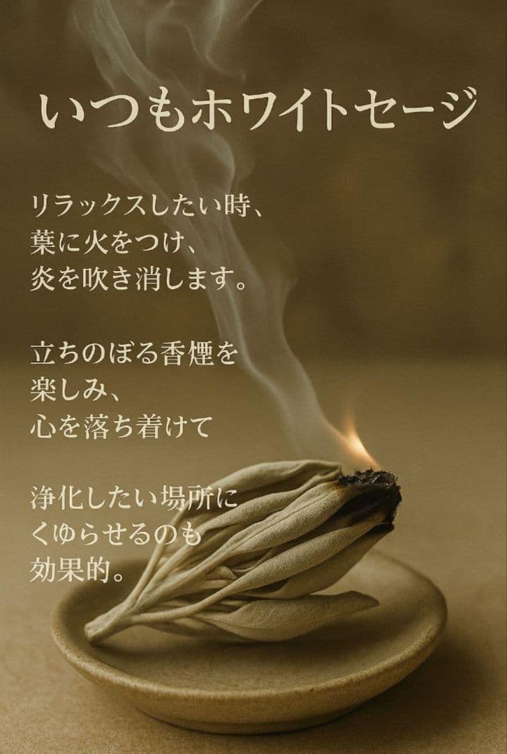 業務用価額☆無農薬ホワイトセージ枝付きクラスター1KGお香浄化☆お得長く使えます