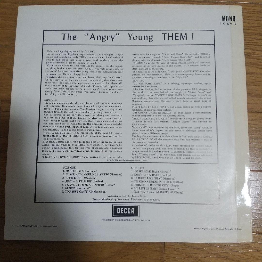 them LP 2枚セット ガレージ モッズ 60s