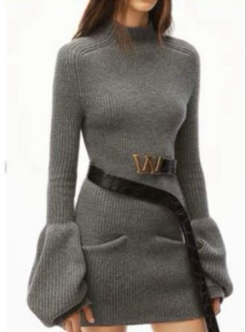 AlexanderWang アレキサンダーワン　ニットワンピース