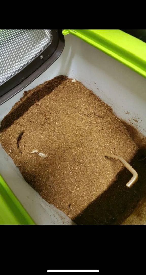 T*o様 自然にカエル 生ゴミ処理気 エコクリーン ゴミ箱