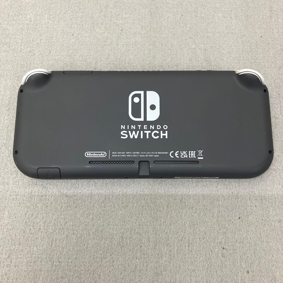 GD6119 Nintendo Switch Lite グレー