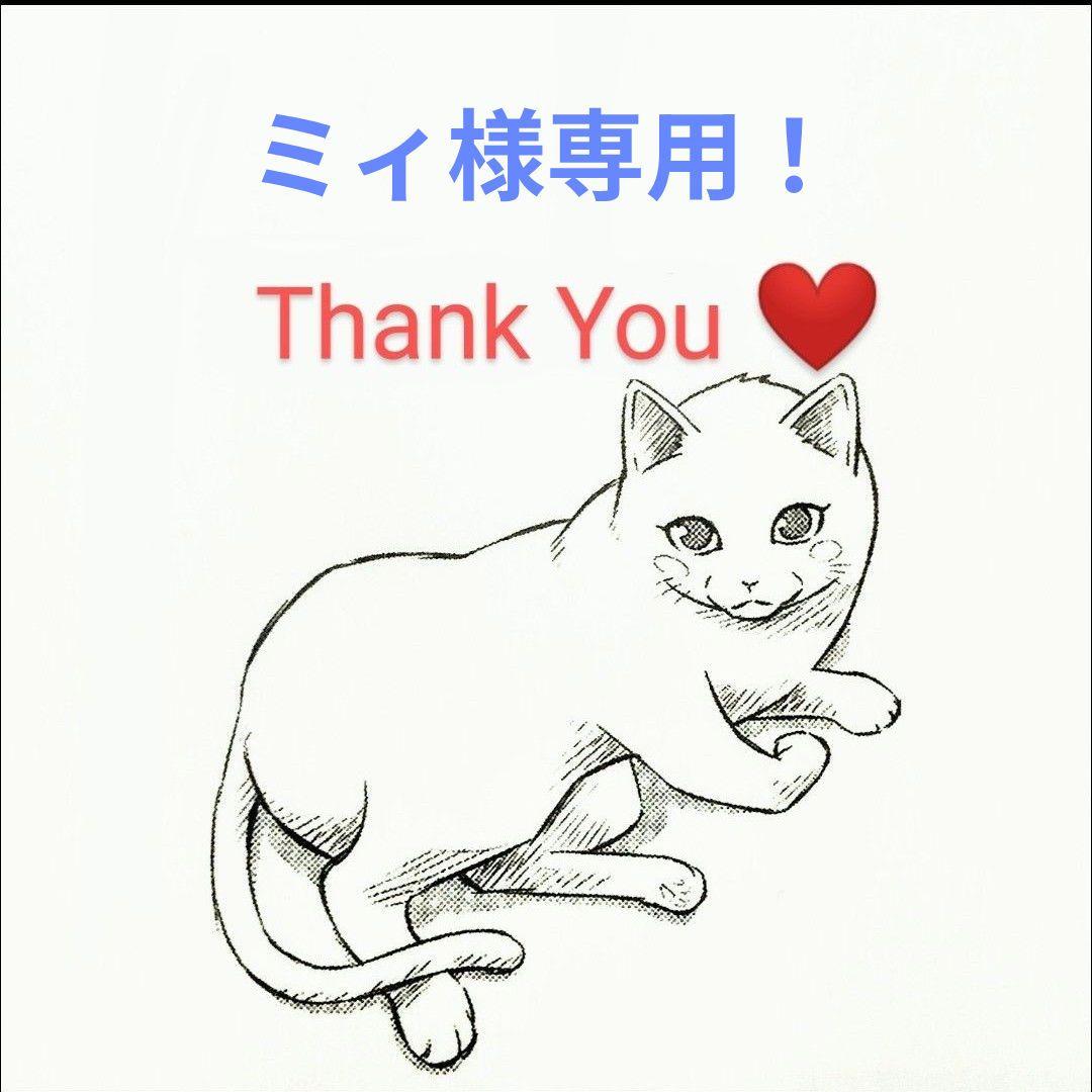 ミィ！　ラエヴァバイタライジングミルクF、クレンジング＆マッサージN