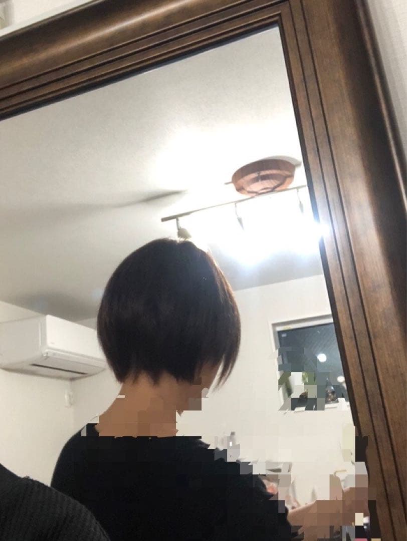 人毛ショート　ブラウン　未使用