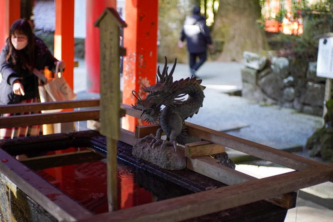 SONY α6100 ミラーレスカメラ SIGMAレンズセット