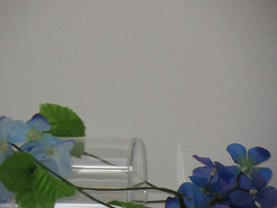 Canon カメラ　IXY 3 PC1736 充電器　ブルー　コンデジ　動作品