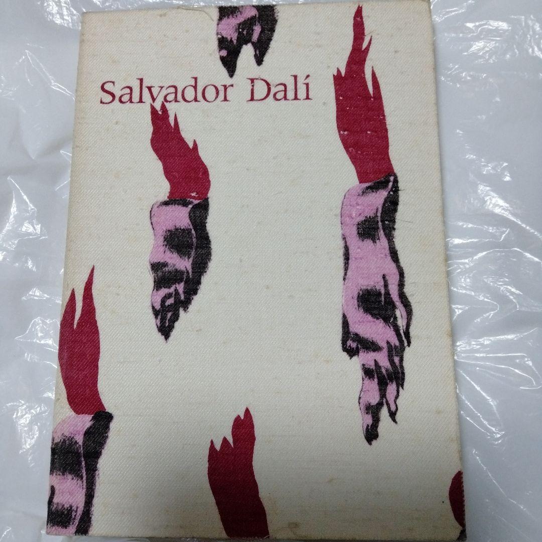 ダリ回顧展 図録 1980年 ポンピドーセンター 近代美術館 大型本 布装