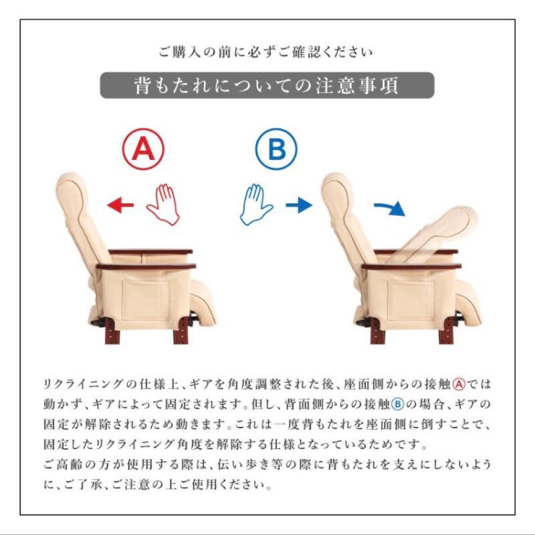 Care SAC-409 介護用リクライニング椅子