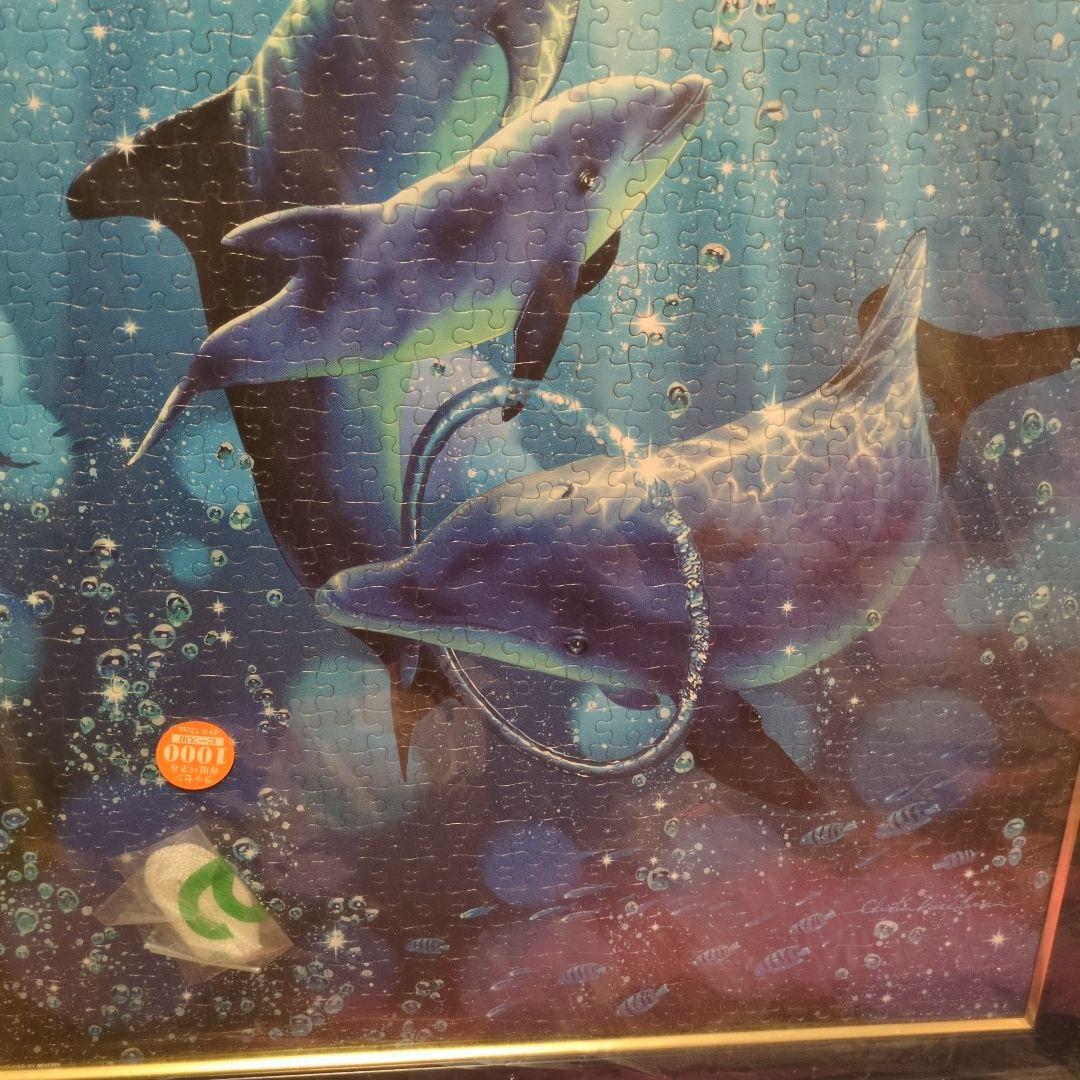 イルカの水中シーン ジグソーパズル