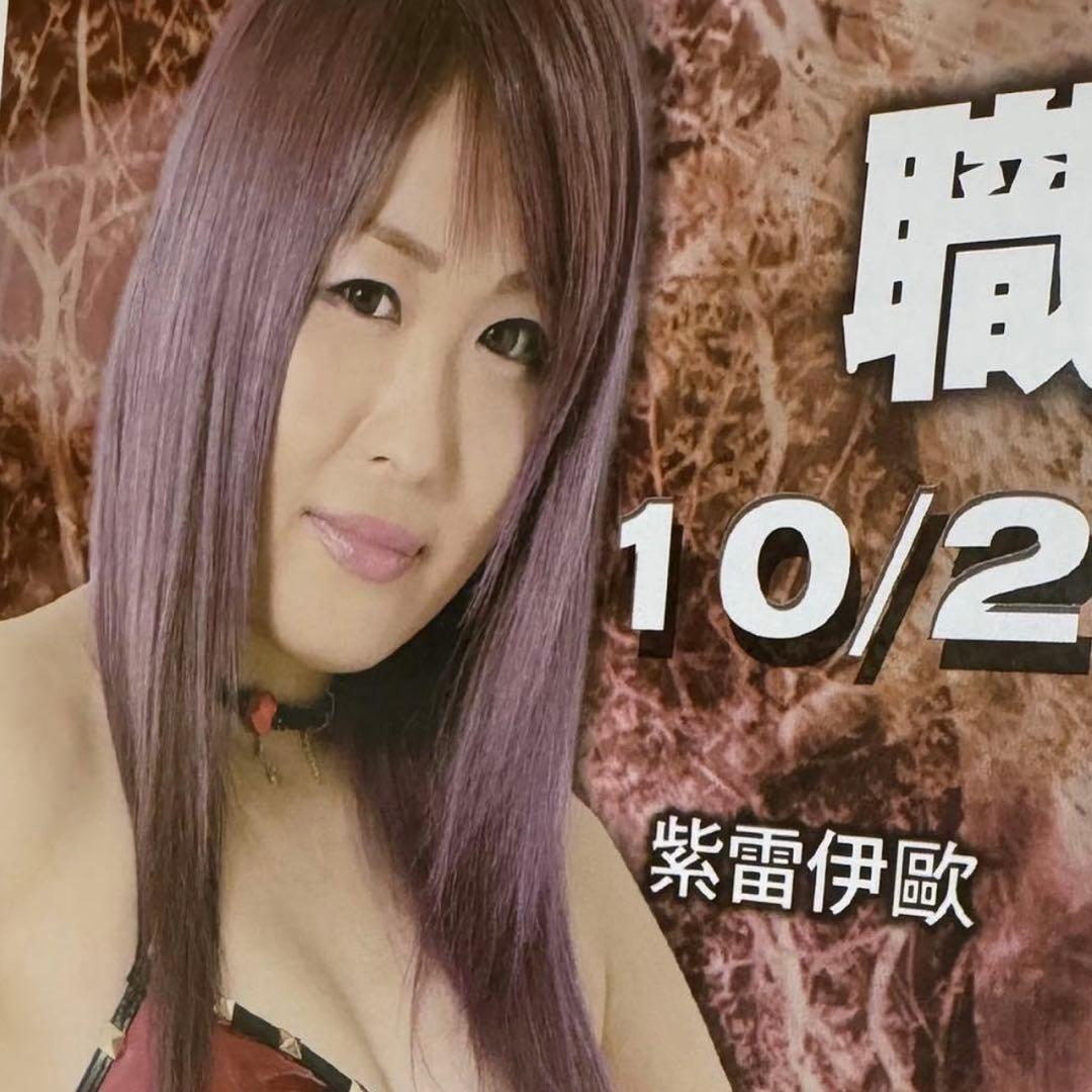 鬼レア❗️スターダム 2017年 台湾大会ポスター 女子プロレス STARDOM