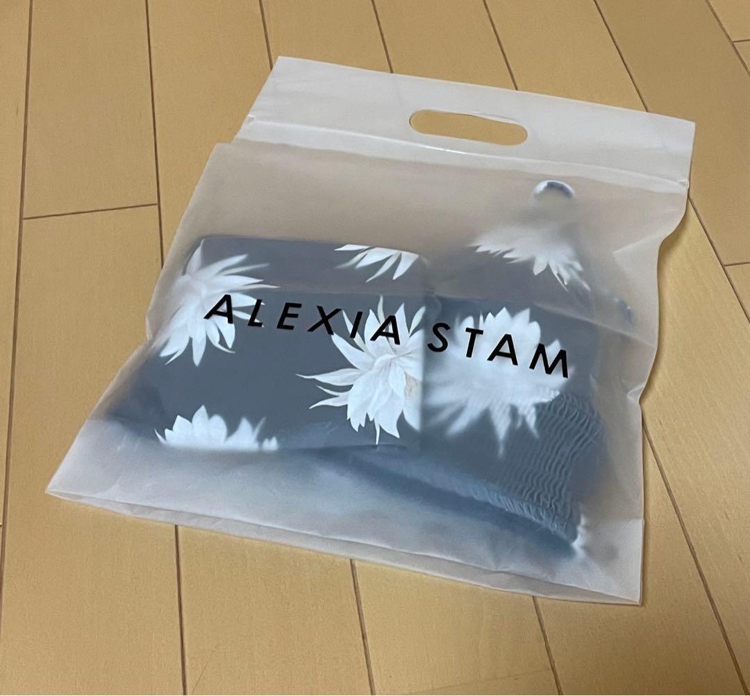 【ALEXIA STAM】ビキニ上下セット