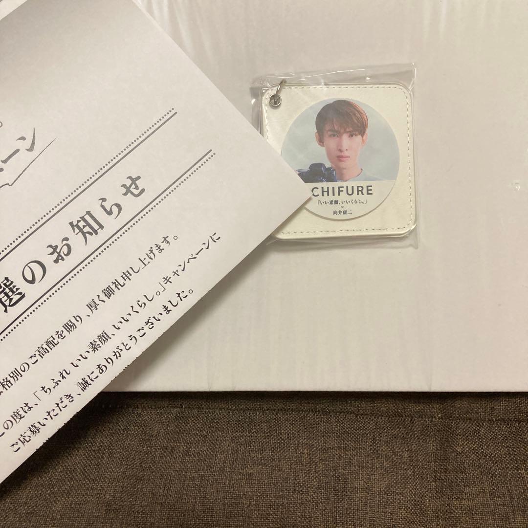 向井康二 ちふれ ミラー