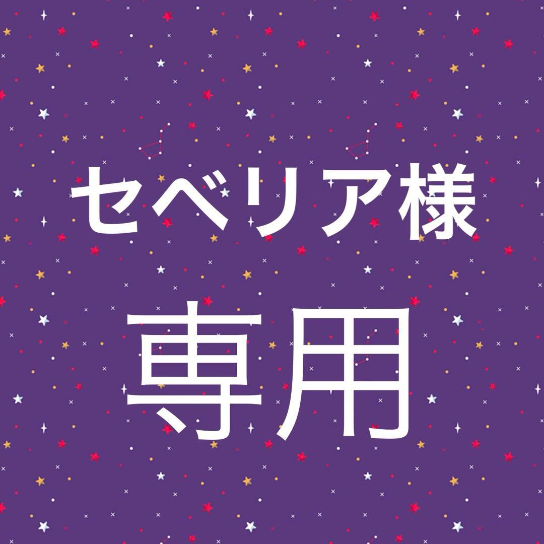 セベリア(同梱して頂いて大丈夫です☆)様☆専用