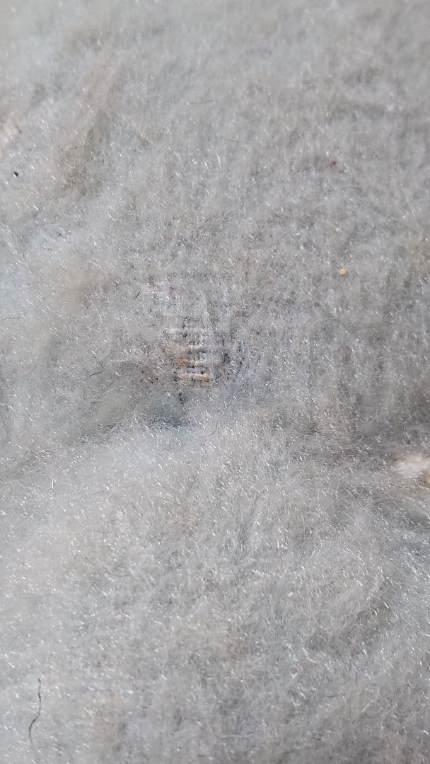 ファーネル ブルー テディベア ビンテージ