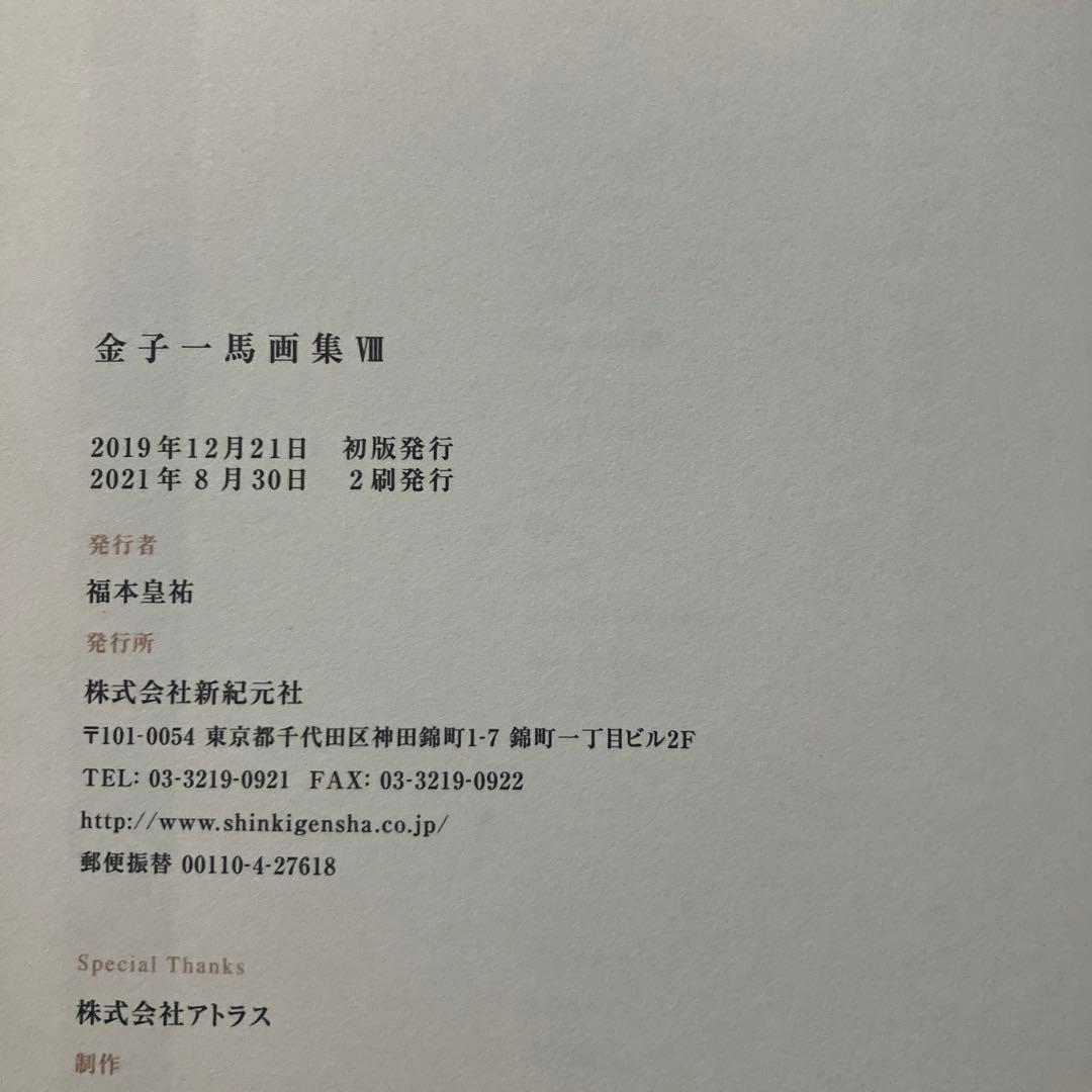 金子一馬画集 Ⅷ