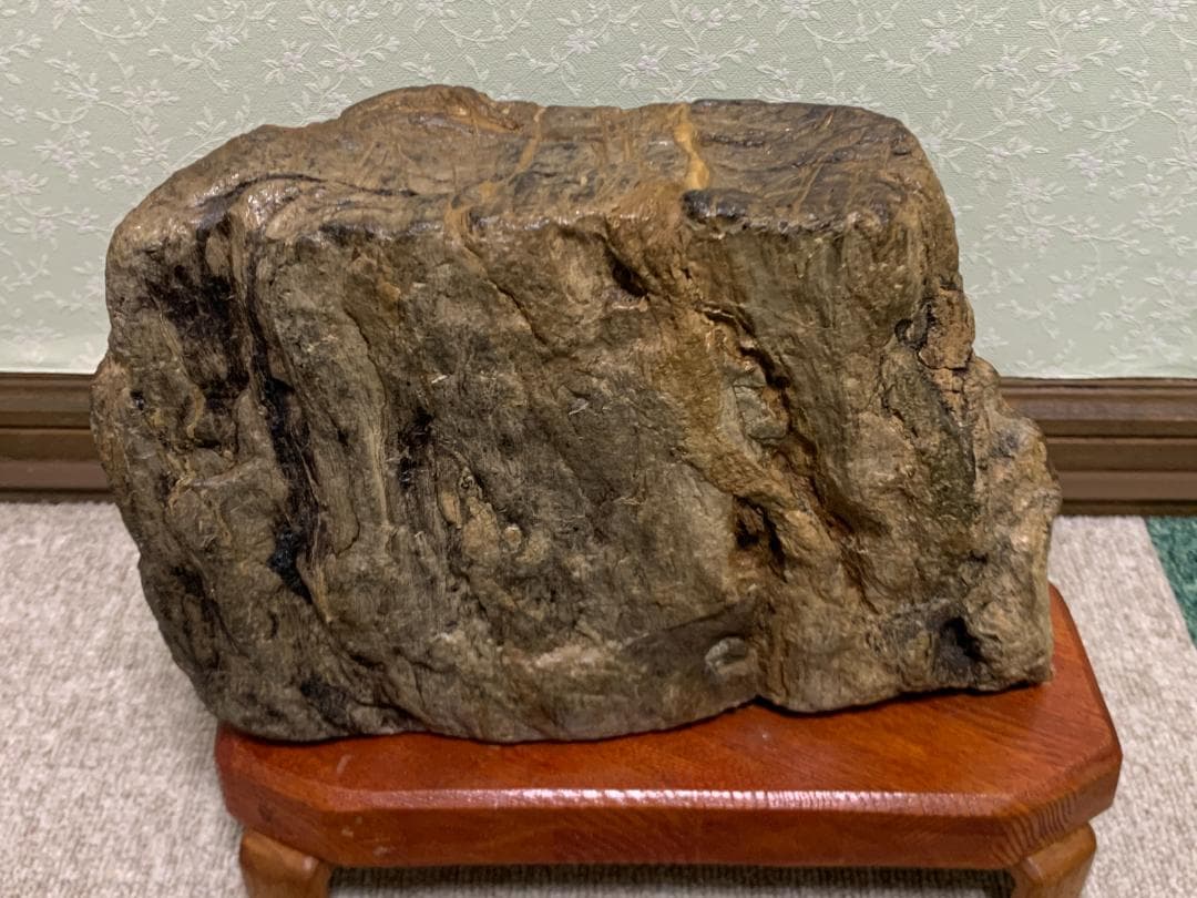 珪化木石　珪化木　H約18cm W約28cm D約9cm 約6,1kg　台付