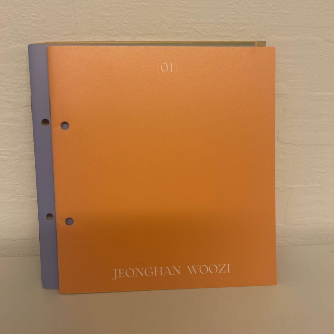 SEVENTEEN 特典 ヘンガレ anode