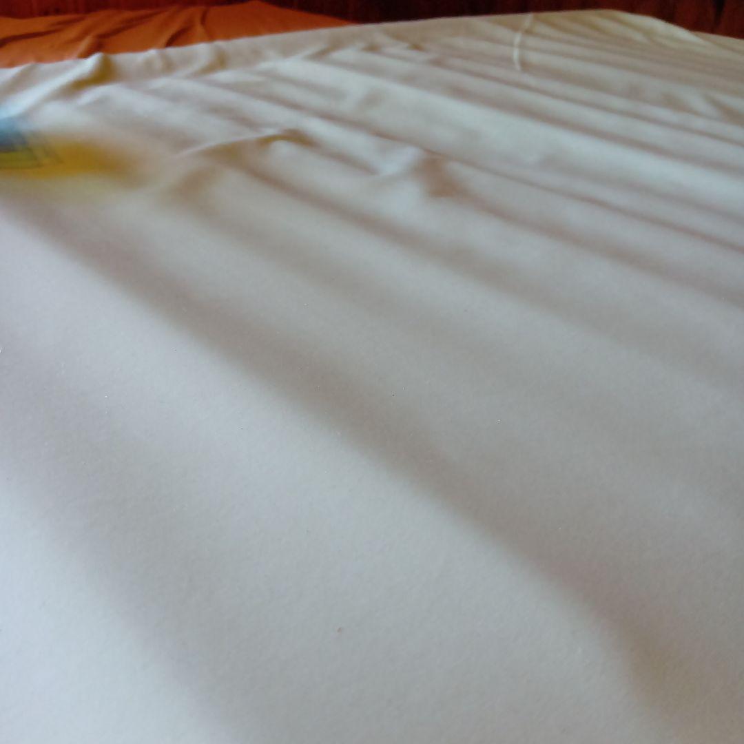 moltenモルテンOSCAR オスカー91幅レギュラーエアマット専用シーツ付き