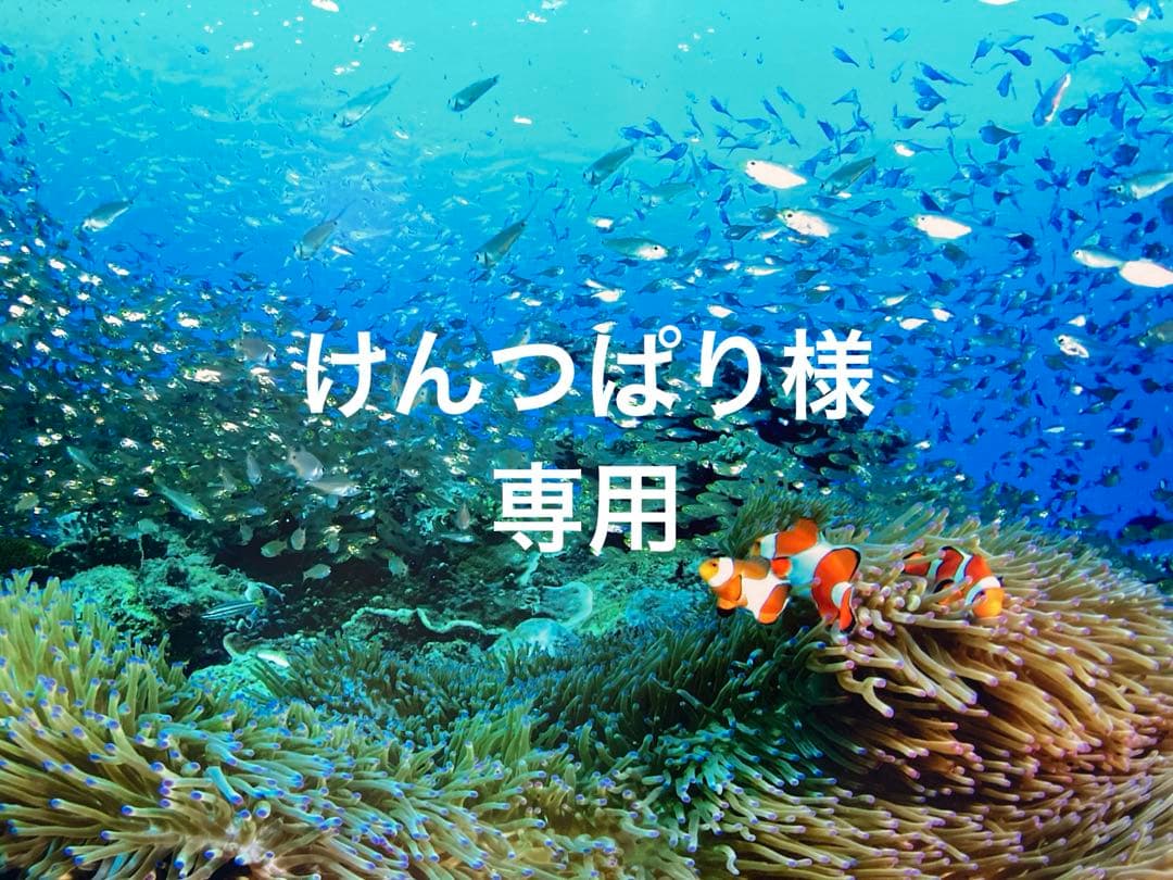 エンビロンクレンジングジェル　ジェル2 クリーム4 トーナー200ml