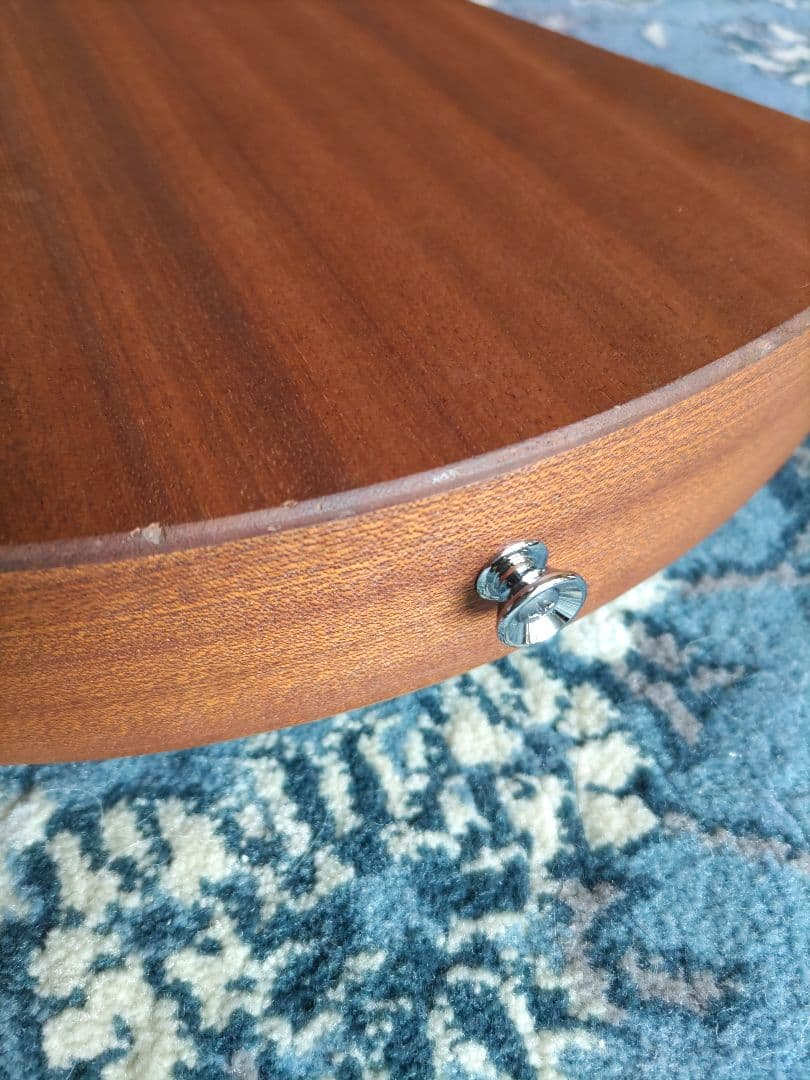 【美品】F.martin&Co 　マーティン　バックパッカー　ケース付き