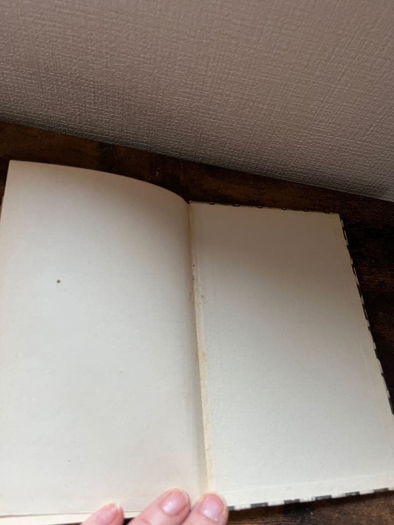 インゼル文庫 No.54 小さな鉱物の本　ヴィンテージ