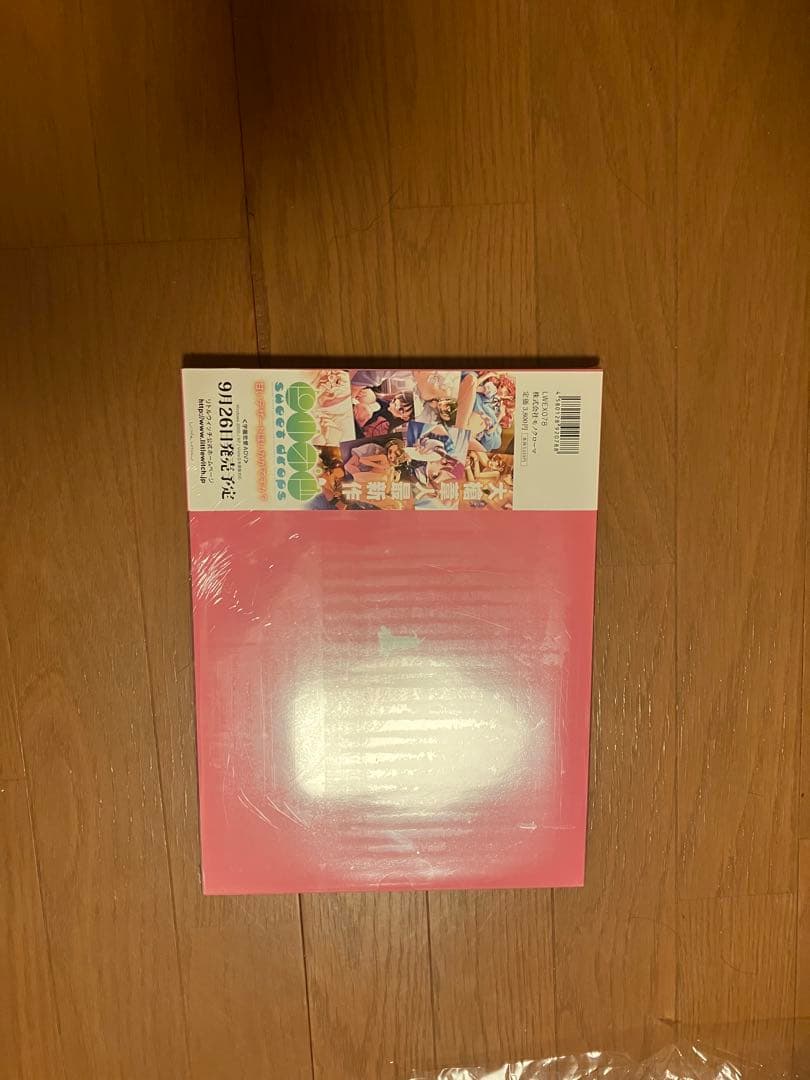 LITTLE WORLD PINK 大槍葦人 アート集 未開封品